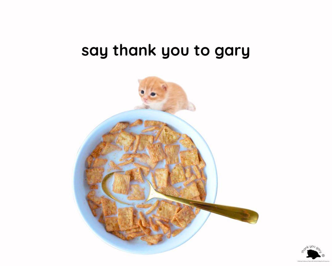 thankyougary__'s tweet photo. https://t.co/vhRxiMO8Ma