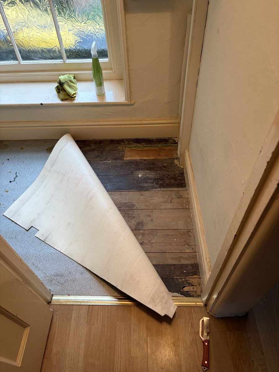 Ameer_Kotecha's tweet photo. Not quite like finding perfectly preserved parquet - but still pretty exciting 🤩 https://t.co/CHstFgFnKl