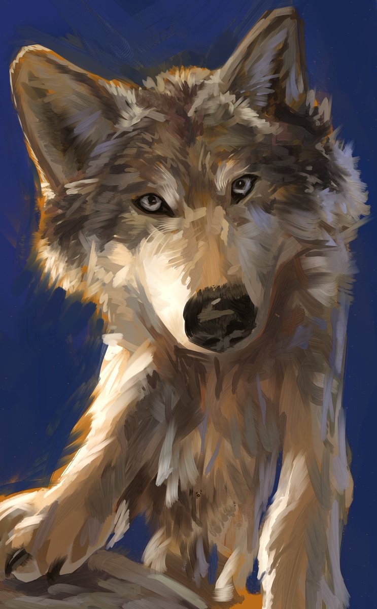 fenris7386's tweet photo. Random study go https://t.co/pLMpMoxQWo