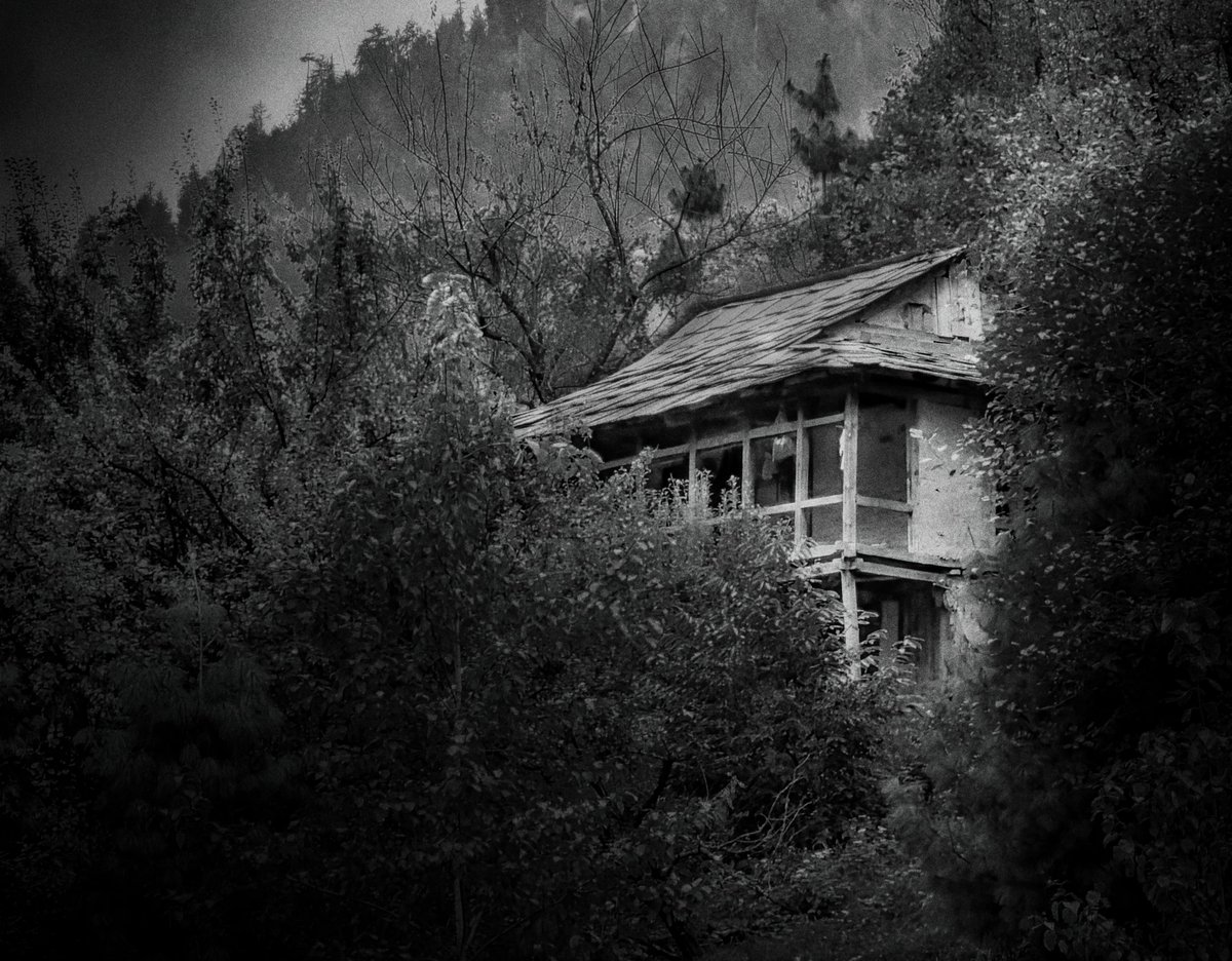 aneeswanders's tweet photo. The Quiet Abode

An old wooden house slowly reclaimed by the surrounding forest, captured in monochrome, revealing the quiet beauty of decay and the passage of time.

#monochrome #blackandwhitephotography #NaturePhotography https://t.co/ER42lpKtnk