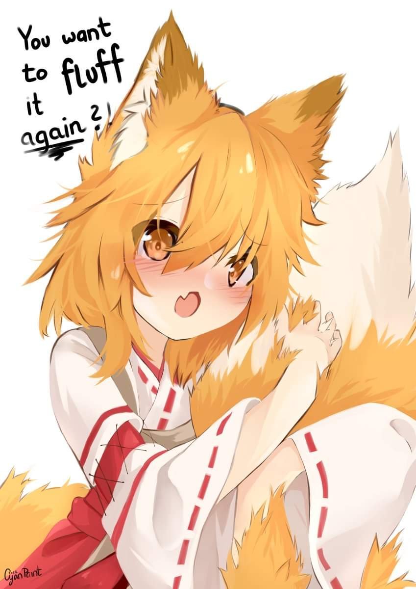 WholesomeKawaii's tweet photo. Cutest most bestest floof senko https://t.co/XZV2AtXhxg
