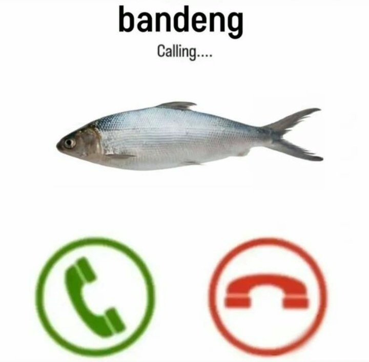 ljakehoon's tweet photo. WOI #Anitwt #manhwatwt #hsrtwt #genshintwt #engenetwt mutualan ayo, gua udah kesepian ini flop mulu
homophobic, anti hw, -15 DNI PAHAM!!  ketik "hmu" di rep nanti saya akan "hyu"
rt/like r highly appreciated🚒🥦 https://t.co/QadrPyqTCI