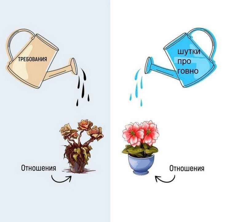 FoxTeninz's tweet photo. Правда https://t.co/Q3sJycjhdN