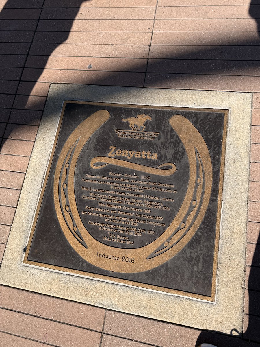 warikiryan's tweet photo. I found Zenyatta walkway at Arcadia train station! 🥳🎉 https://t.co/YbIVybB2vm
