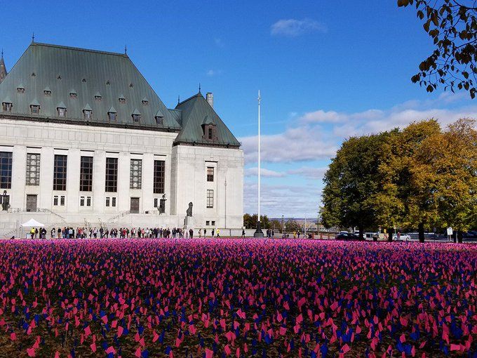 LifeNewsHQ's tweet photo. Over 100,000 flags in a field in Canada show how many babies are killed in abortions there each year. https://t.co/PVvivsBtL3