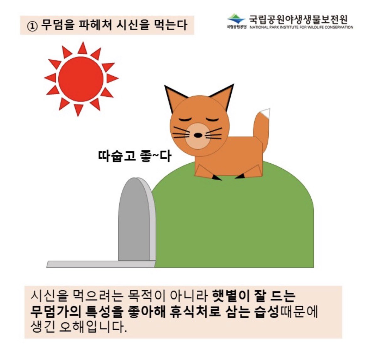 ny0n9ny0n9's tweet photo. 파워포인트 여우도 귀여움 !!! 🦊 https://t.co/ThxK2BCYPj