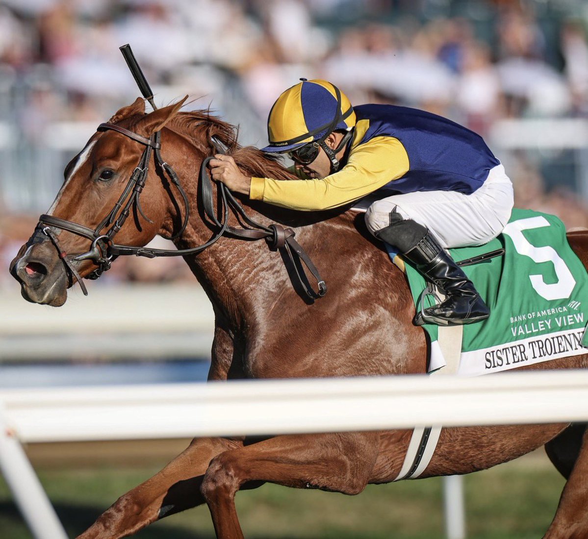 StakesWinners's tweet photo. 🏆 SISTER TROIENNE
(Luis Saez - Brian Lynch)
@BankofAmerica VALLEY VIEW STAKES 2026 ($400,000) Keeneland @keenelandracing @luissaezpty @BLynchRacing @woodlinefarm @KPMRacingStable @keeneland 
📷 @coadymediaUSA https://t.co/Ju3EQpW4cf