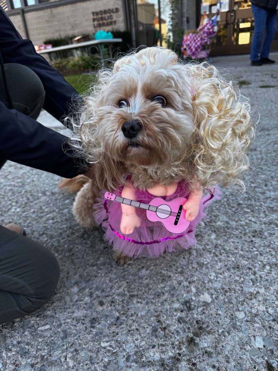ThoroldLibrary's tweet photo. So many fantastic costumes in the Thorold BIA Puppy Parade this year! We had a great time registering everyone and determining the best literary costume! Thank you for including us in this amazing event!  🍂🎃🍂🐕🍂 https://t.co/v7fi8JMkDD