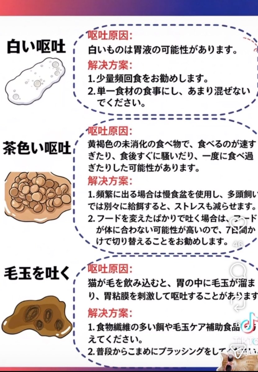 fukuroupiyopiyo's tweet photo. 猫の嘔吐の種類（備忘録も兼ねて） https://t.co/5RD94IMa45