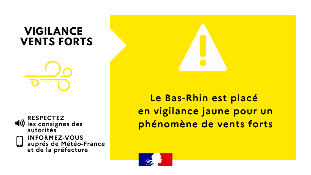 Prefet67's tweet photo. #VigilanceMétéo | Le #BasRhin est placé en vigilance JAUNE 🟡 #vent ce dimanche 25 octobre de 06h00 à 15h00. 

⚠️  De fortes rafales de vent de 70 à 120 km/h et des précipitations de 20 à 40 mm sont attendues sur l'ensemble du département.

➡️ Prenez vos précautions pour mettre à l’abri les objets sensibles au vent
➡️ Abritez-vous hors des zones boisées
➡️ Soyez prudents dans vos déplacements et activités de loisirs
➡️ Évitez les promenades le long des cours d'eau
➡️ Évitez les sorties en forêt
➡️ Rangez ou fixez les objets sensibles aux effets du vent ou susceptibles d’être endommagés

🔗 Pour suivre l'évolution de la situation https://t.co/L81CYI9p0r

--
@PoliceNat67 @Gendarmerie_067  @sdis67