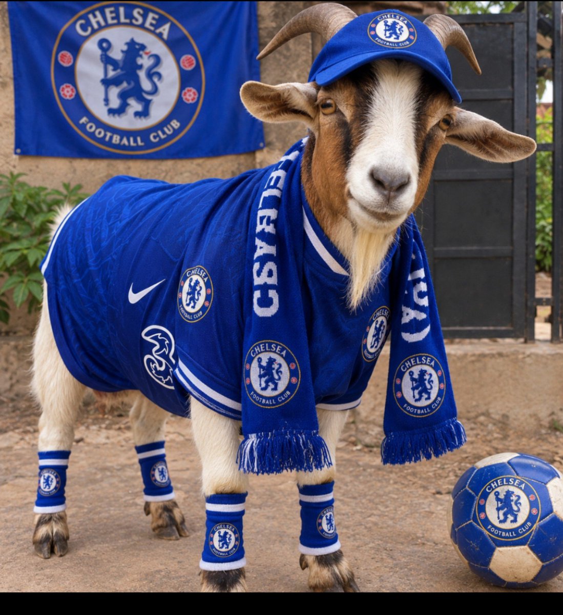 SoniaLynda01's tweet photo. Chelsea fans how far? Hope everything is well at home?
Just checking on you guys https://t.co/LBrM82d41y