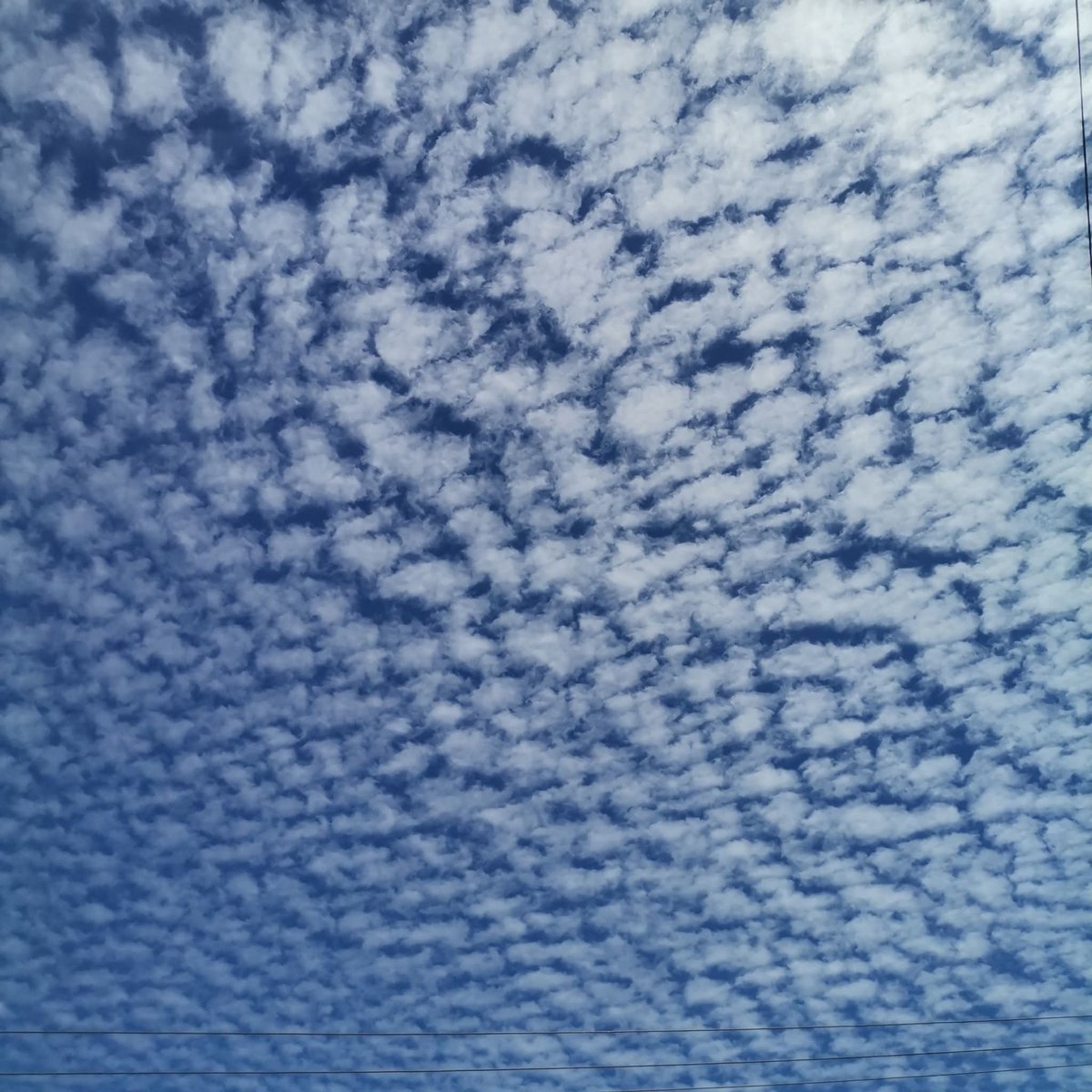 agustingc2012's tweet photo. Cielo Aborregado.
Altocumulus floccus
Indica la llegada de los fríos.
Así, en mi Junta Auxiliar. https://t.co/uwcNFCpdmO