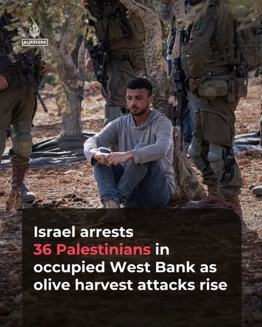 LilyFayed's tweet photo. Where are human rights? https://t.co/oTcy97JlIG