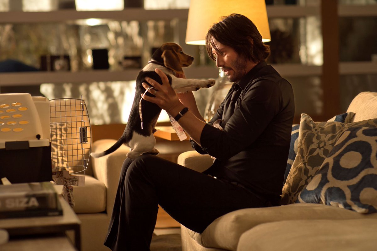 JohnWickMovie's tweet photo. 12 years of focus, commitment, and sheer will. Happy anniversary to John Wick. https://t.co/S2tBHoMM5S