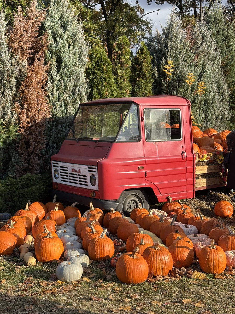glossxae's tweet photo. 🍂🎃 https://t.co/t4sShQtiEm