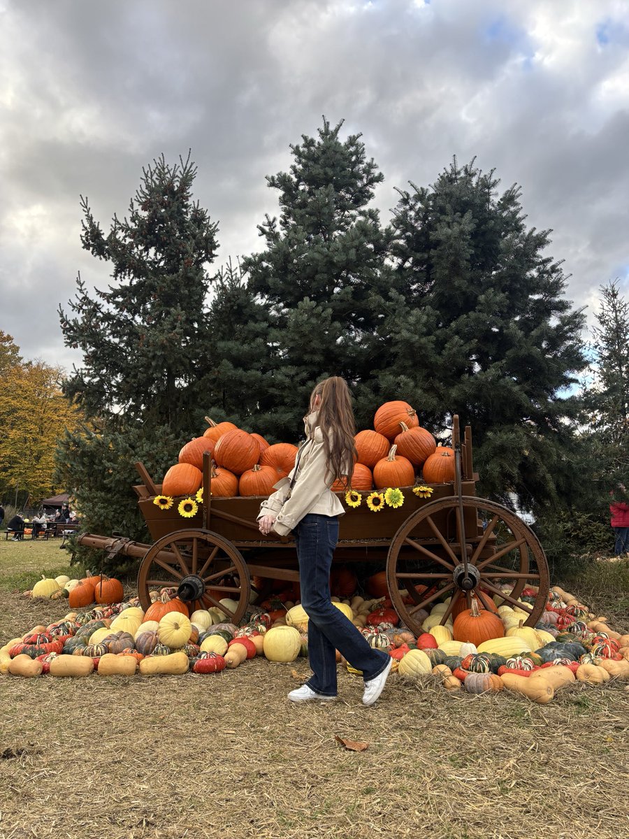 glossxae's tweet photo. 🍂🎃 https://t.co/t4sShQtiEm