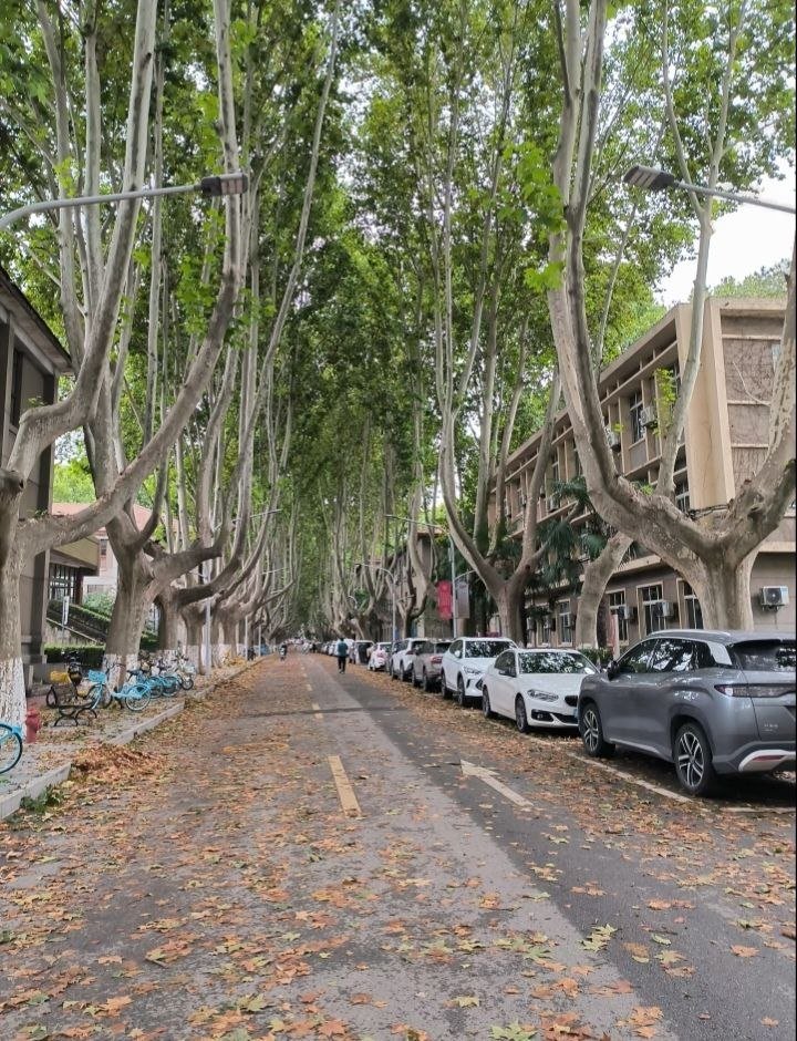 ariii_X__'s tweet photo. 风中都快吹散了秋天的味道，我们什么时候见一面呢
这长安的风算是把我吹明白了，没外套是真不行 #西安 https://t.co/hw4cP9ij6n
