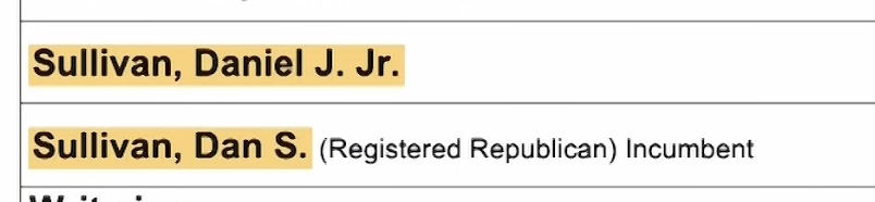 JessicaHuseman's tweet photo. Anyway here is how the ballot looks, so let's all decide together whether this is an "egregious attack" on voters who all, I assume, have eyeballs: https://t.co/S4SnRssS48