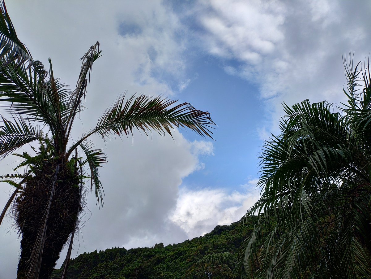 ringosteelgrey's tweet photo. 堀切ミーティング🌴
震度3で肝が冷える🫨 https://t.co/BAEZmezLYH