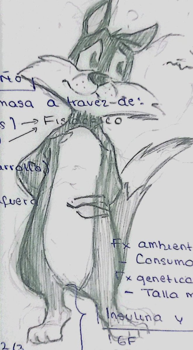 Kaihwhass's tweet photo. Holaa, no pensé que llegaría a tanta gente, muchas gracias!; la universidad me esta matando, pero ahí vamos jaja. Estos son los algunos dibujos que no había subido por que no me convencían del todo ajaja #Pituvester #Silvester #yandereau https://t.co/XL7losKisB