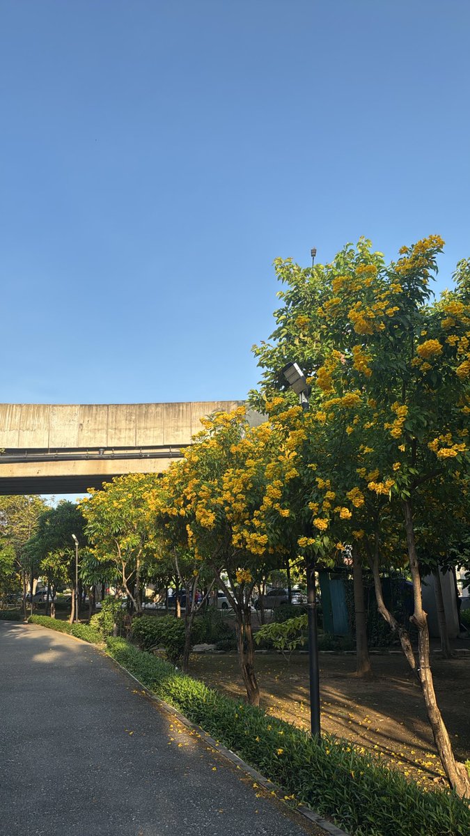 TangDetchot's tweet photo. 🌤️Morning ชาวพบพระทุกคนนะคะ🤗

#จะทําความรู้จักกับชาวพบพระที่มารีทวิต https://t.co/Vyp8PSG6bf