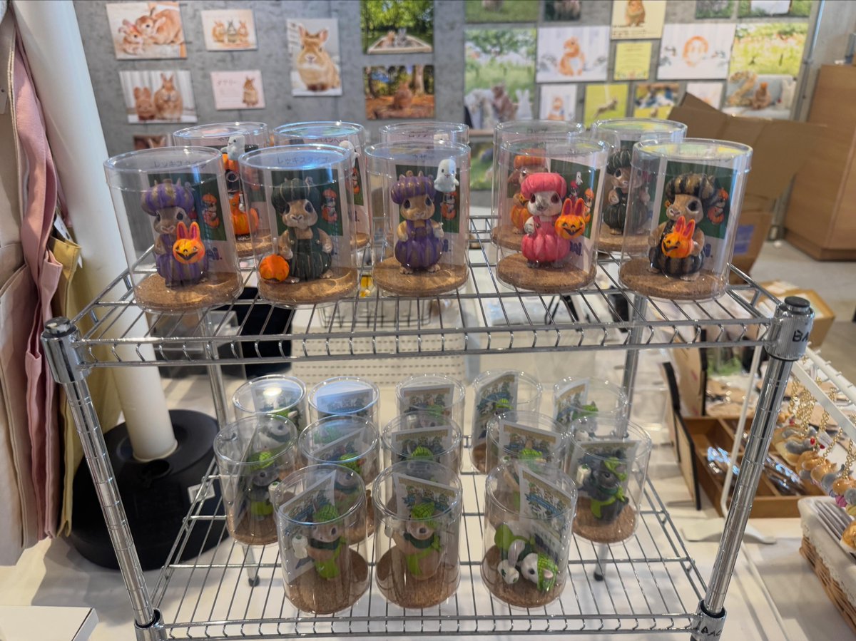 baconcoltd's tweet photo. 【週末も開催中】
#うさぎしんぼる展 2026 in 名古屋

見渡す限り、うさぎ・うさぎ・うさぎ！🐰✨

可愛い写真や作品はもちろん、思わず集めたくなるうさぎグッズも盛りだくさん♪

10周年ならではの特別な企画にも注目です🎉

日曜日のお出かけは、ぜひ“うさぎ愛”あふれる会場へ！

📍TGS.名古屋
〜11/23(月・祝)まで
📎 https://t.co/oFcSVK4KPL

#うさぎイベント #名古屋イベント
