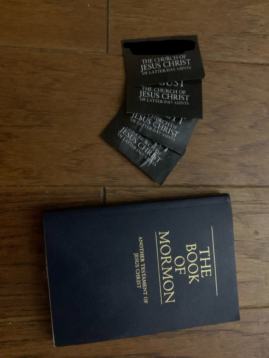 Sara_YtGaming's tweet photo. Hi all! I am so happy to announce @devvtang, @beachhouseended, @sillycatsrappin @vivikompton and I will be leaving for our mission for the Church of Jesus Christ, Latter-Day Saints! Thank you for joining us on this journey and I’m so excited to explore this next chapter! ✝️❤️ https://t.co/Htc0etUd1c