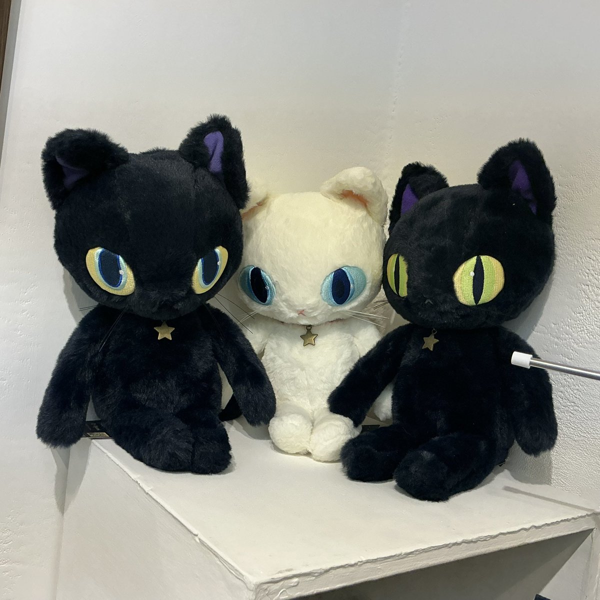 infonyanimal's tweet photo. にゃにまるおおさか５日目、アメリカンレトロップな柏木花里さん、よく見たらあちこちでいろんなことしてる猫がいて面白くてどんどんハマります。かわさきさんのタロットカード！Ayumiさんの手触り最高ぬい、さとうみよさんの新作リュック！
#イロリムラ https://t.co/ZbZ4GbExfr