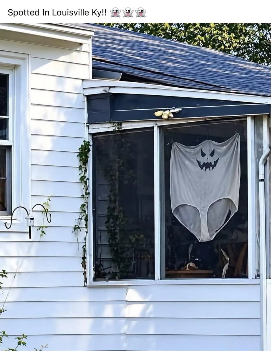 AlgorithmCrazy's tweet photo. Halloween 🎃 decorations in my hometown 😂🙃 https://t.co/Ov0fw7J3tO