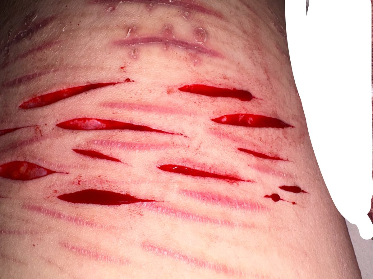 Kath_yyy's tweet photo. SFX MAKEUP, ALL Al, ALL MADE WITH SEX NO ONE GOT HURT ALL!!! https://t.co/Y1Ect4mP8M