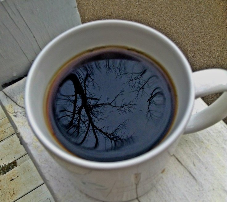 calmgloww's tweet photo. a little autumn in my coffee. https://t.co/li1k5TR0it