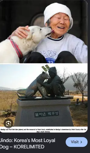 randygamescool's tweet photo. This might be the next DOGE

Wikipedia made a whole video explaining a dog called 'Baekgu'

Baekgu is koreas version of doge, and it is considered to be the most loyal dog in the world. The country even has strict rules to make sure that they are only bred and protected in Korea.

They are considered the best gift you can get in life.

https://t.co/DT5peyWrsn