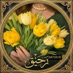 Photo by 💛 رحــيقٌـ " (@b67zfc)