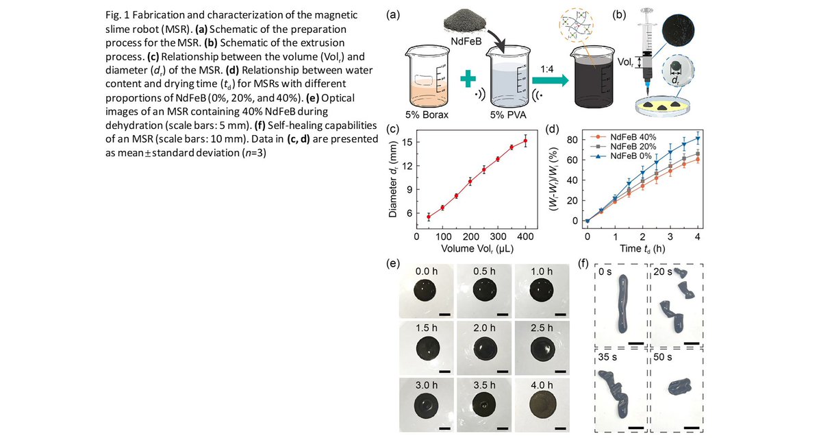 BioDesignManuf's tweet photo. A magnetic slime robot for minimally invasive kidney stone retrieval: design, characterization, and in vitro validation

Learn more: https://t.co/NdsoDBmSDA https://t.co/lh2lYP8T1q