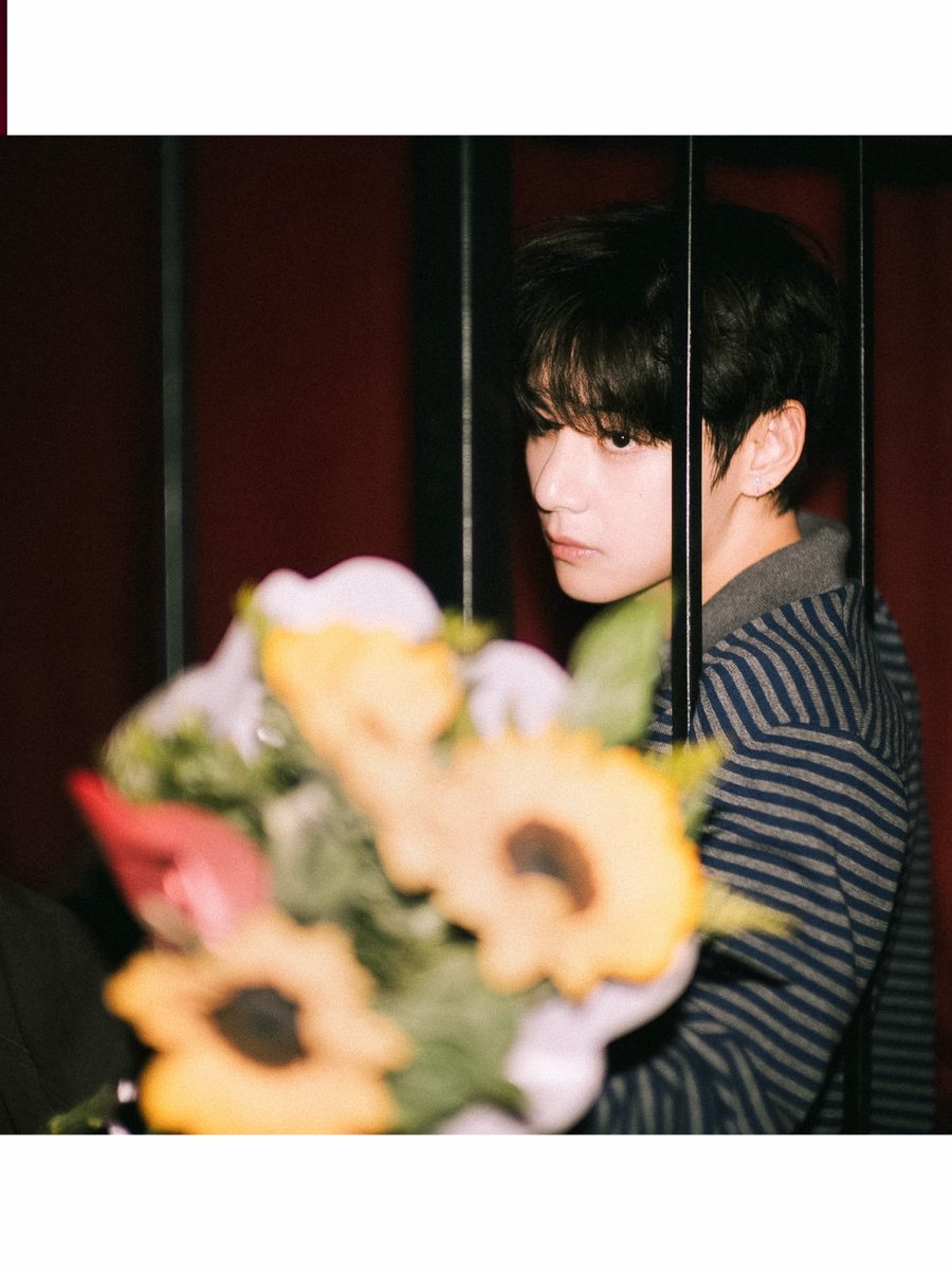 mooneeah's tweet photo. The sunflower symbolises unwavering loyalty, deep admiration, and pure happiness 🫠 https://t.co/3m75GXIMF6