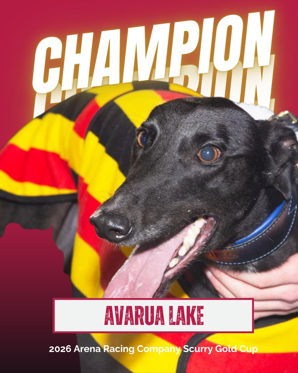 DunstallDogs's tweet photo. AVARUA LAKE 🏆

Your 2026 @ArenaRacingCo Scurry Gold Cup champion! 

Congratulations to @ReesGreyhound on back to back titles!

#DunstallPark 🐾 https://t.co/JXSPXcyEU0
