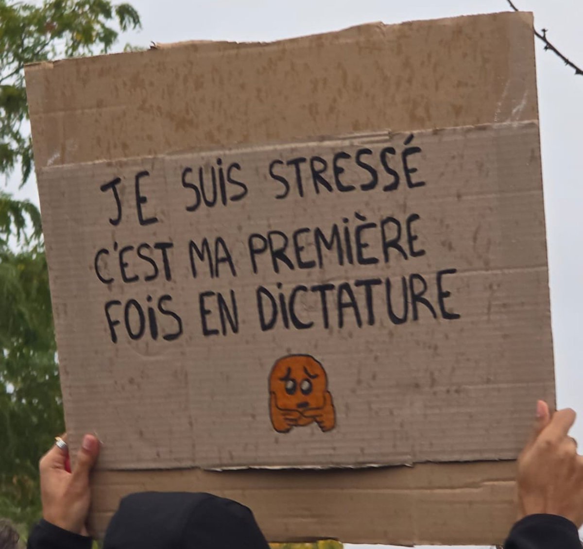 L_Wcrdt's tweet photo. « Je suis stressé, c'est ma première fois en dictature »

Mobilisation du 24/10/26, Paris. https://t.co/R8oy3040ll