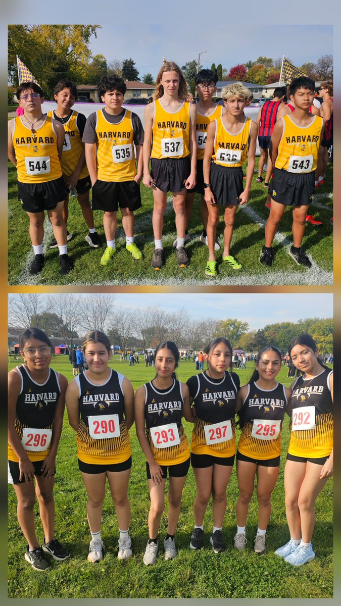 ArmandoValdesRi's tweet photo. Our @HHSHornets1 XC team finished the season strong at IHSA Regionals! Aiden Arias - 17:38 PR; Brenda Garcia - 20:53 PR. A great way to close out the season! Proud of their hard work, determination &amp; growth. Thanks to everyone for the amazing support all season long! @HarvardD50 https://t.co/TQJbLi0j1e