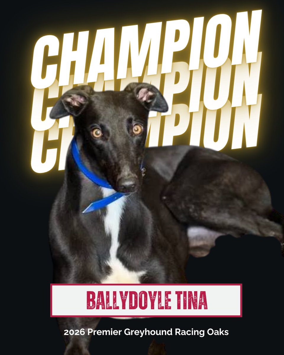 DunstallDogs's tweet photo. BALLYDOYLE TINA EDGES A THRILLER 😲

The 2026 @PremGreyRacing Oaks goes to Ireland as Ballydoyle Tina beats Slingshot Poppy on the line. 

Congratulations to @RiversideKenne and all connections 👏

#DunstallPark 🐾 https://t.co/zkNmNCiePC