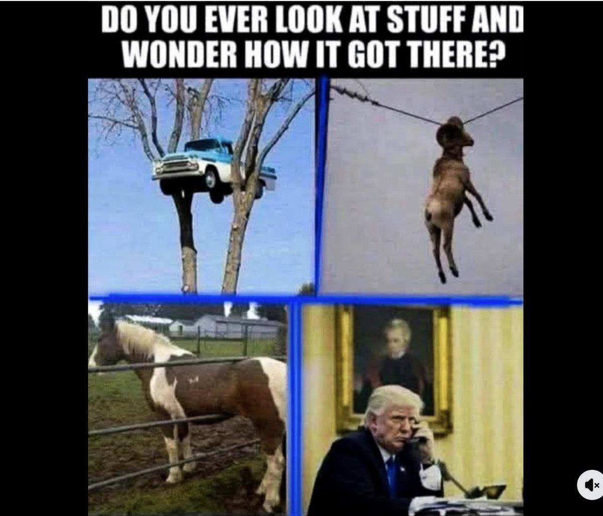 GermaineDeStael's tweet photo. @realDonaldTrump https://t.co/UyfXDgRrzv