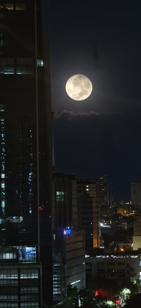 VenusHortus's tweet photo. Tonight's full moon, she's gorgeous isn't she ? 🌑

📸 @GuadagninoFilms https://t.co/MKkymnFTZz