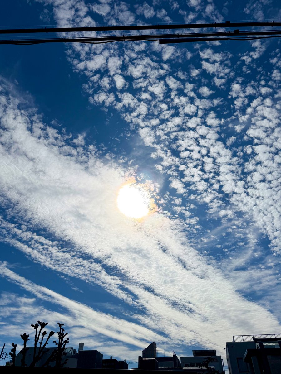 tokiomoro's tweet photo. Good morning SHONAN〜！昨日から、また９月に戻ったような感じだけど、空気の冷たさに秋を感じます🍂 起きてコーヒー淹れるのにパーカーを羽織っています。
 #バイザシー https://t.co/qlOkqjbURX