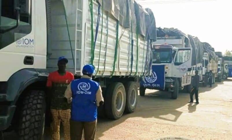 SudanTribune_EN's tweet photo. Sudan’s Emergency Lawyers group has proposed establishing urgent relief centers across the country following warnings from Western nations about an impending famine. Around 19.5 million people in Sudan are currently facing acute food insecurity.
https://t.co/H06ajb2g02

#Sudan #Famine #HumanitarianCrisis