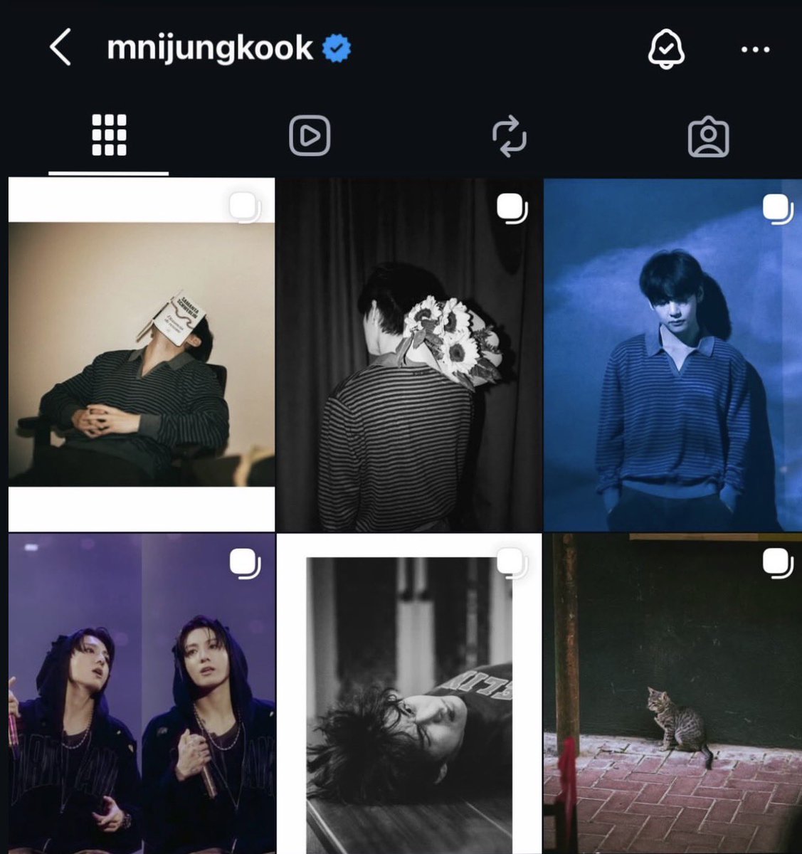 _x0leii's tweet photo. Love in pictures 🦋 https://t.co/Srj1TxGJy8