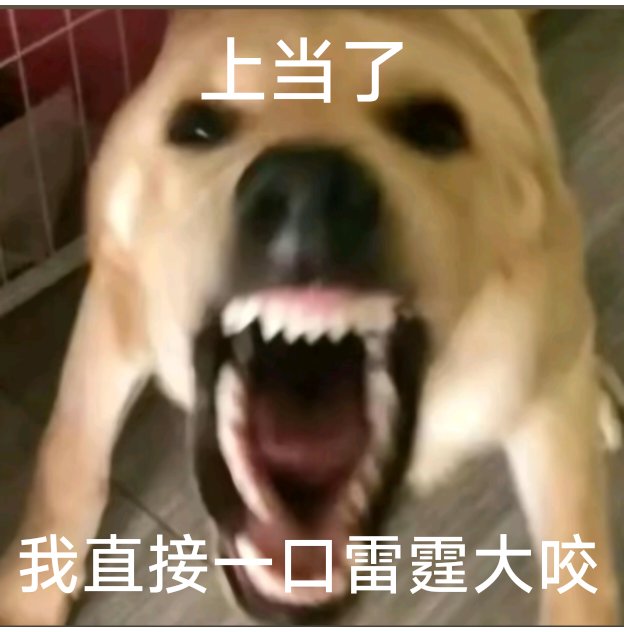 mouxiaoe3's tweet photo. 哈哈哈哈 https://t.co/ggSuaXE33d