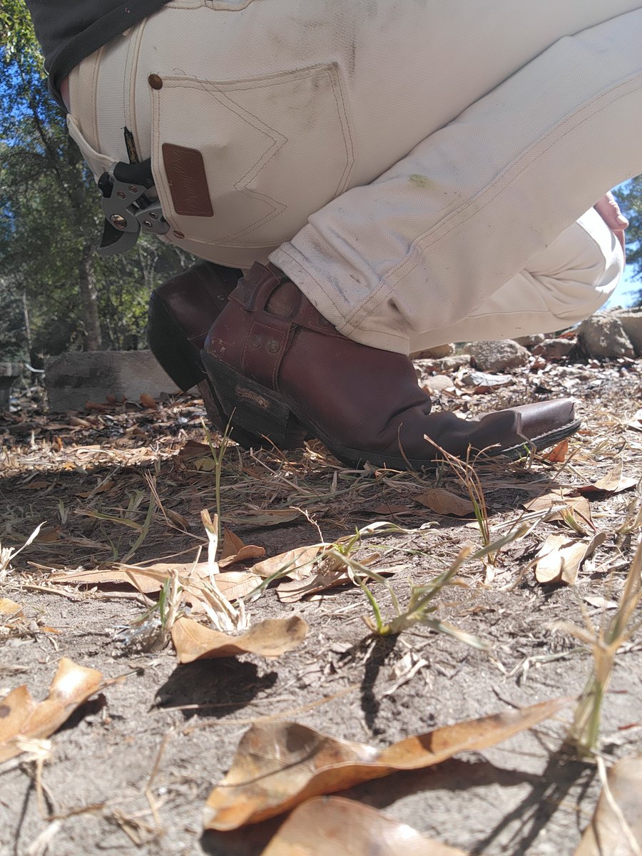 BootguyL's tweet photo. The boots seem to have repelled what life threw at wm today,  but the jeans sure didn't. Lol https://t.co/eFdw1N3A96
