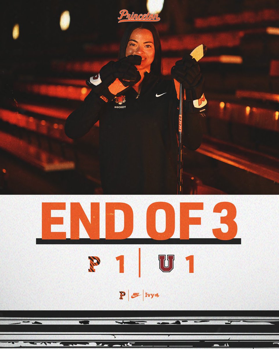 PWIH's tweet photo. The Tigs take things to OT! https://t.co/edCeQNsL0l