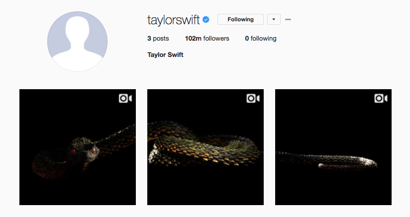 taylornation13's tweet photo. Where were you when Taylor’s Instagram grid looked like this? #20YearsOfTaylorSwift https://t.co/nxk5IaUhFe