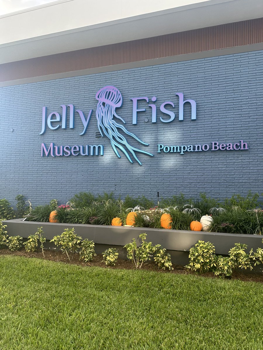 webbshutter's tweet photo. Jellyfishing, jellyfishing, jellyfishing! https://t.co/ltibXOWqmH
