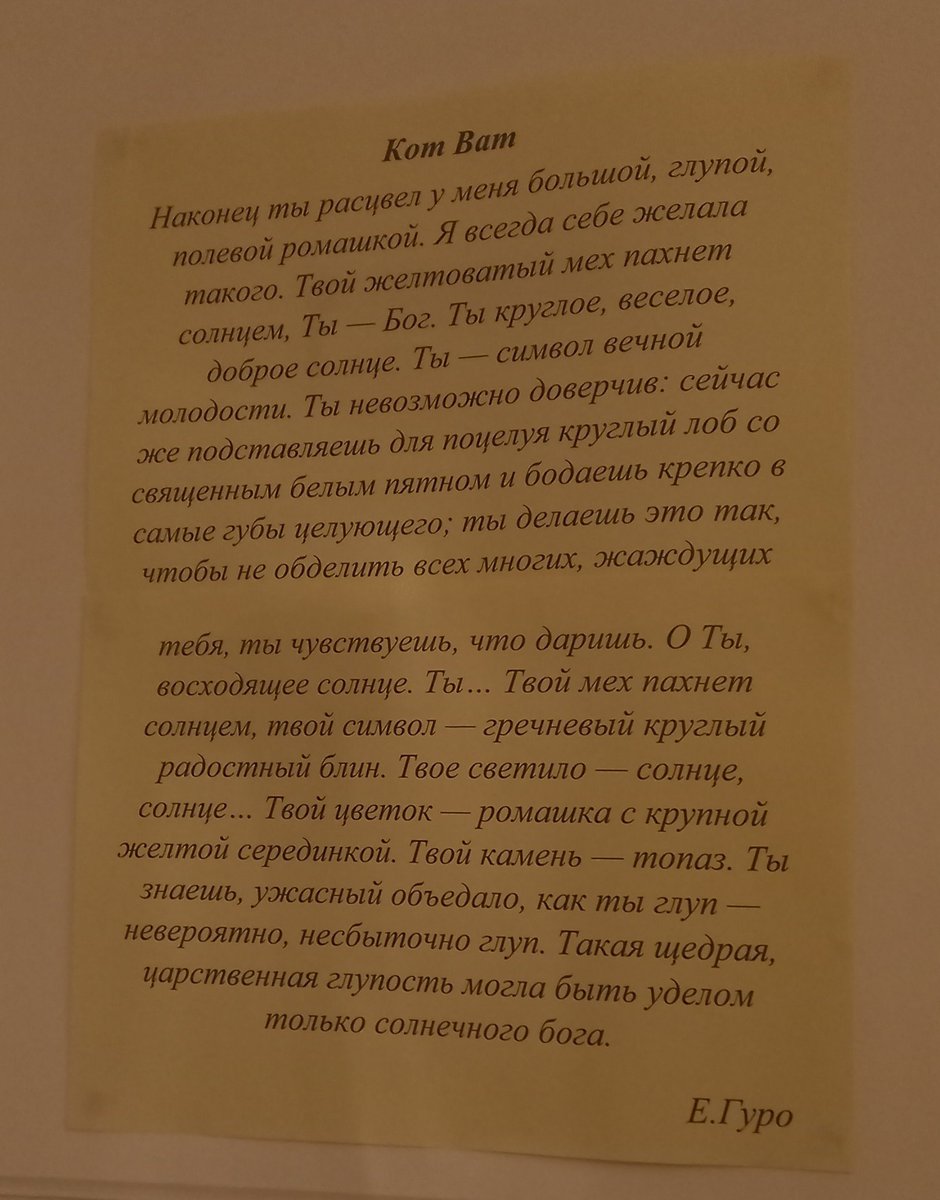 maskedrenzot's tweet photo. я часто думаю, что перебарщиваю с "утипути" по отношению к кошачьим

но, боюсь, я никогда не достигну уровня кошатничества Елены Гуро https://t.co/soMEStAgjA